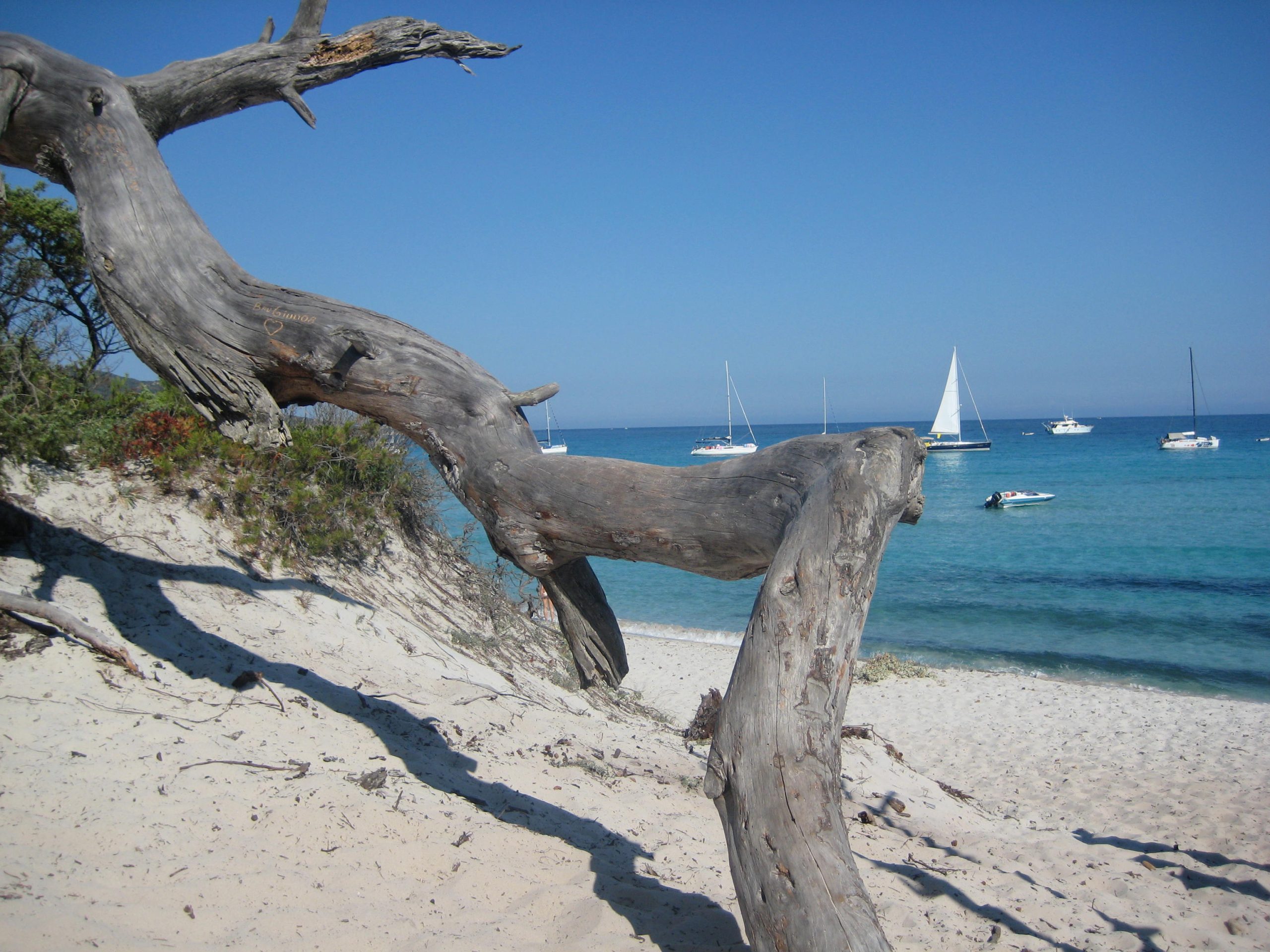 Corsica